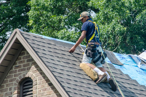 Best Roof Replacement Cost  in Woodburn, VA